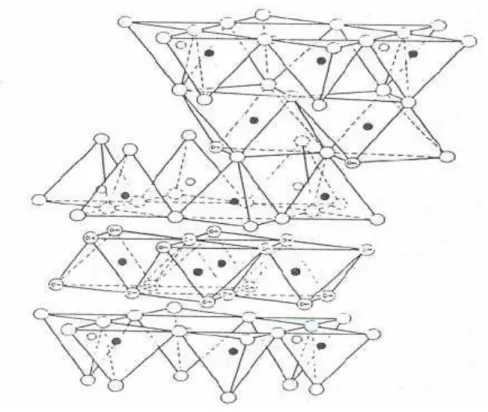 Fig. I- 16 : représentation schématique de la structure d’une argile de type TOTO  Minéraux interstatifiés   