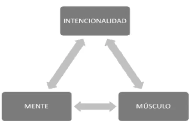 Gráfico 1. Proceso de la intencionalidad (Niort, 2015) 