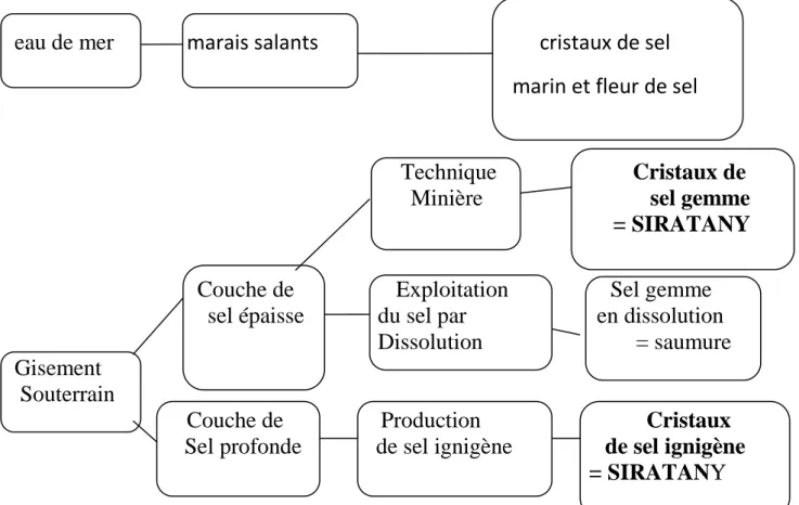 Figure 2: Les différents modes de production du sel. [20] 