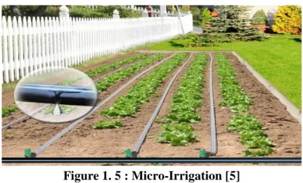 Figure 1. 5 : Micro-Irrigation [5] 