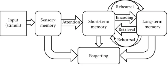 Figure 1.1 Atkinson &amp; Shiffrin Memory Model. 