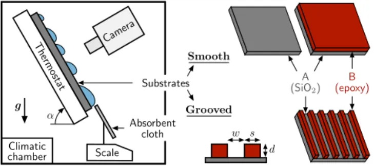 FIG. 1. Schematic of the experimental setup and substrates.