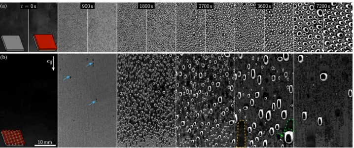 Figure 3 presents the mean projected area Σ of the five largest drops over a zone of 43 × 28 mm 2 , for both grooved and smooth (A) substrates