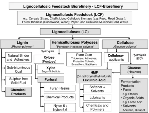 Figure 5 : Potentiel de la biomasse lignocellulosique à fournir des produits biosourcés 17