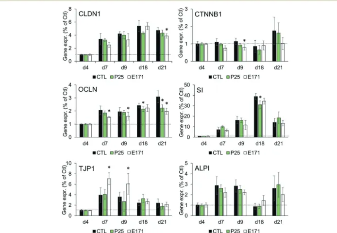 Fig. 1 Impact of E171 and TiO 2 -NPs on the mRNA level of genes involved in enterocytic differentiation