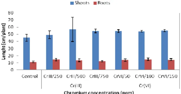 Fig. 3. Leaves number of Atriplex halimus seedlings  exposed  for  30  days  to  varying  concentrations  of  Cr  (III) and Cr (VI)
