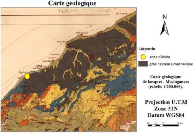 Figure 07. Carte géologique de la zone d’étude. 