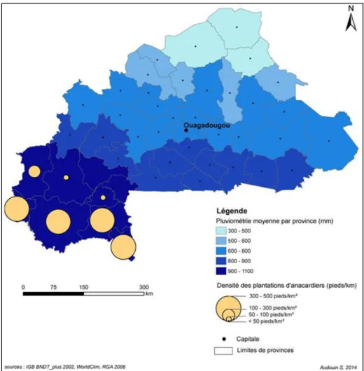 Figure 7 : Régression linéaire de la concentration d’anacardiers en fonction de la pluviométrie