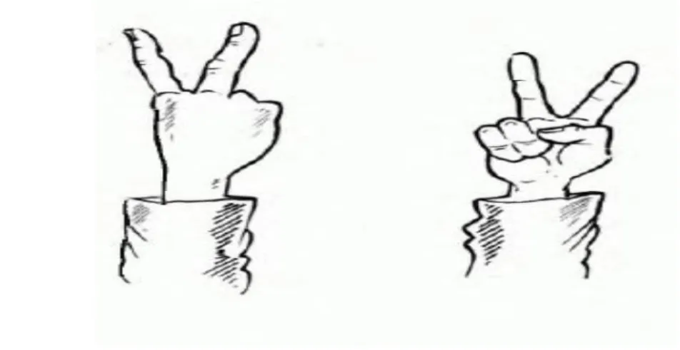 Figure 1.2: Examples of Gestures “V” sign (Gibson, 2000, p. 28) 