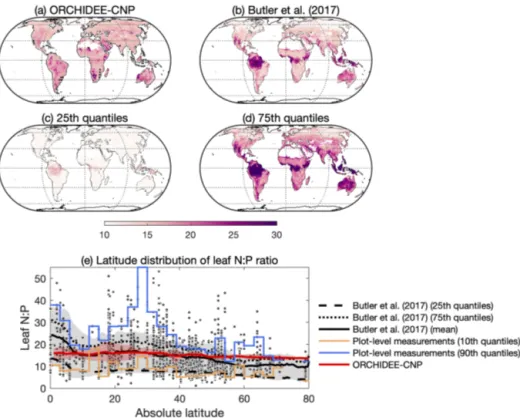 Figure 8. Comparisons of the leaf N : P ratio between ORCHIDEE-CNP, data-driven estimates and observations