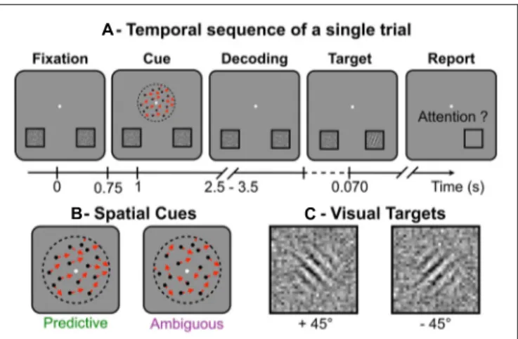FIGURE 1 | (A) Temporal sequence of a single trial: while fixating the central white dot (A-Fixation), subjects had to distinguish the global direction of the random-dot motion (A-Cue), to shift their attention toward the location corresponding to the glob