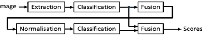 Figure 3.2 Système de détection de concepts avec rétroaction conceptuelle [11] 