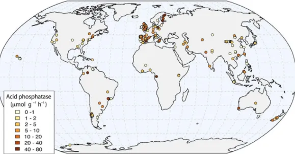 Figure 1.  Distribution of the observations used in this review. A total of 378 sites around the world were  obtained from 213 publications
