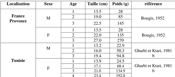 Tableau n°3 : croissance du rouget de roche. 