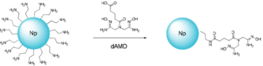 FIG. 1. Scheme of the grafting of dAMD onto MNP.