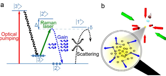 Figure 1 | Working principle of the random laser. 