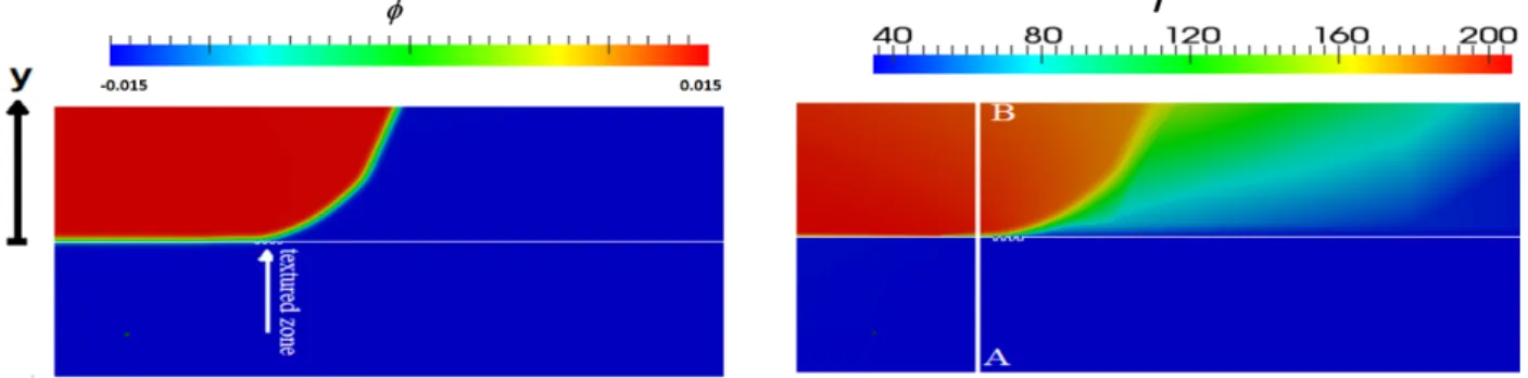 Figure 6: Flow front described by levelset φ melt (a) and temperature (b) at the macroscopic level, L ref = 1 mm.