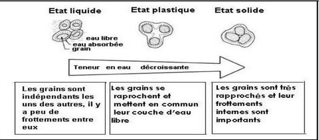 Figure 9 : Variation de la consistance d’un sol selon la teneur en eau  1.5.2.2.1.1- Limite de liquidité W L