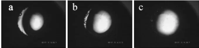 FIG. 5: Gas spreading at 32K (well beyond the critical region) as visualized through the transparent heater in magnetic  levi-tation experiment
