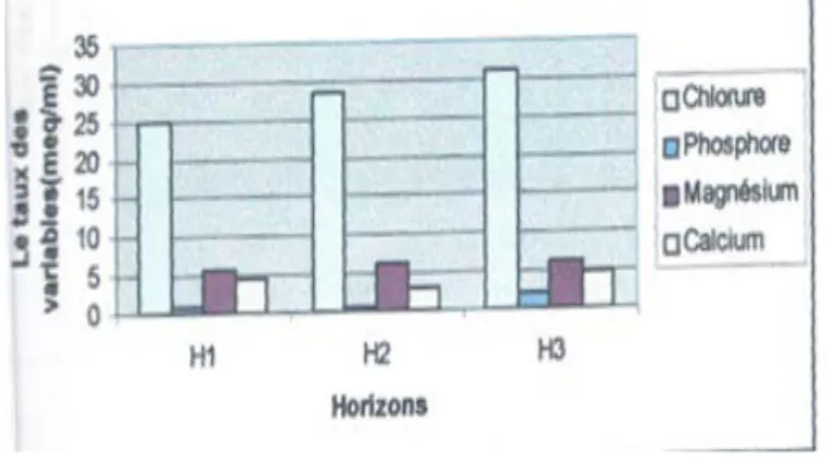 Fig. 18-variationdu chlorure, du phosphore assimilable, du magnésium calcium  du  profil 1 (Traore, 2005) 