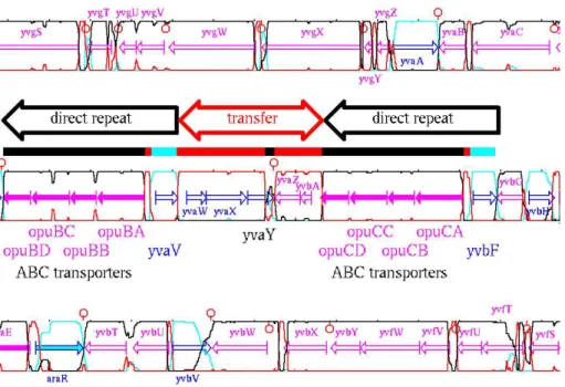 Figure 3 : Visualisation de transferts potentiels de gènes 