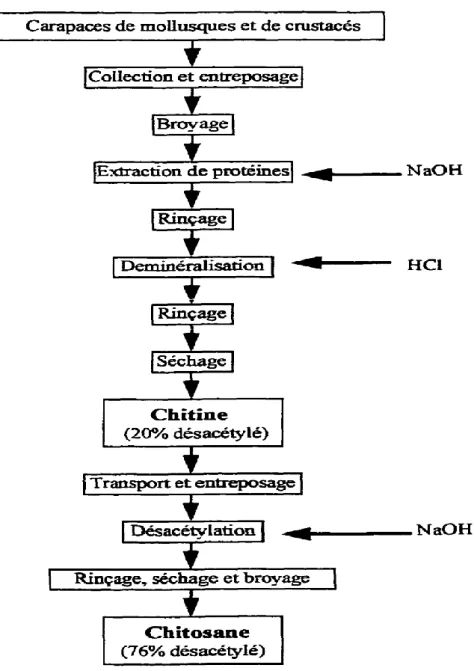 Figure 4 : Méthode de production du chitosane (Onsoyen et  Skaugrud,1990). 