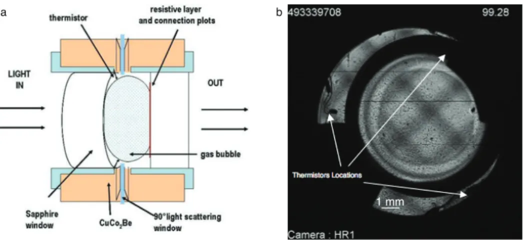 Figure 12. Schematic cross-section (not to scale) of the expected microgravity vapor-liquid distribution in the direct observation cell (DOC) dedicated to study the liquid film drying due to boiling phenomena, using a transparent resistive layer as a flat 