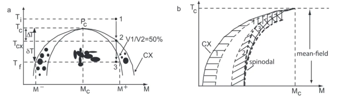 Figure 1. (a) Classical picture of growth and morphology phase diagram of SF 6 . The supercritical fluid at initial temperature T i (Point 1), with an off-critical density δM = M − M c is quenched below the coexistence (CX) curve, and droplets of vapor (vo
