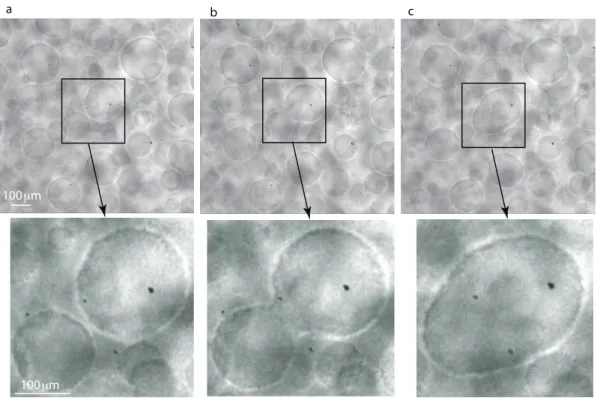 Figure 6. Binary collisions in narrow field of view (NFOV) images at successive frames: 6244 s (a), 6335 s (b) and 6426 s (c)