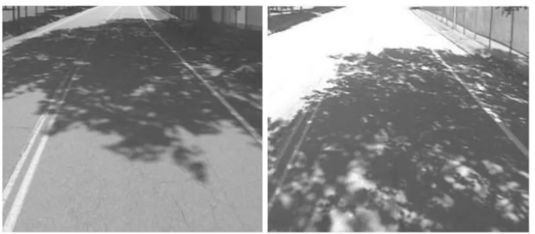 Figure I.5: Variabilité de l'éclairage dans les images. 