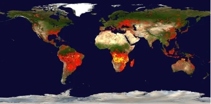 Figure 1.1 : Carte globale des feux pour la période du 19 au 28 août 2014. Carte produite par                                              Jacques Descloitres de l’équipe du MODIS (Rapid Response System)