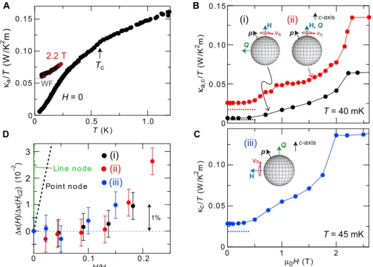Fig. 4. Thermal conductivity of CeCu 2 Si 2 for various directions of thermal current and magnetic field