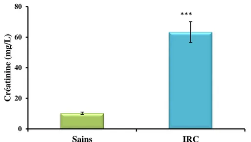 Figure 14 : Teneurs sériques en créatinine chez les insuffisants rénaux chroniques (IRC) comparés  aux sujets sains (n=20)