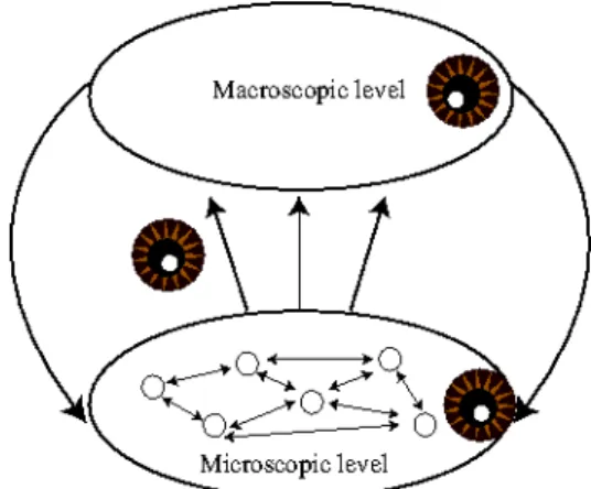 Figure 6: Multiple emergence with many feedbacks (adapted from Fromm, 2004)