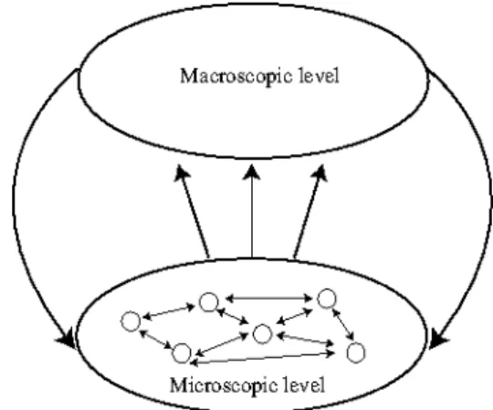 Figure 5: Weak emergence including top-down feedback (adapted from Fromm, 2004)