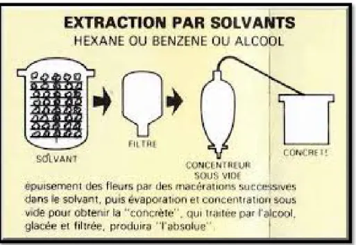 Figure 6 : Technique d'extraction par solvant (Anonyme 2 ,2010)          4.6 Extraction par les corps gras : 