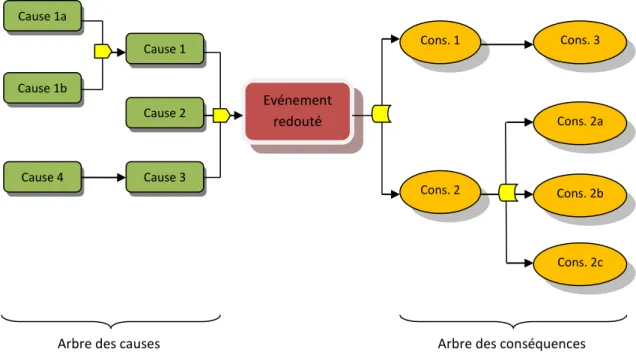 Figure 2 : détail d'un schéma papillon 