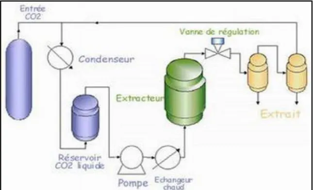 Figure 3 : Schéma du système d’extraction des HEs par un fluide supercritique (BEN  AMOR, 2008) 