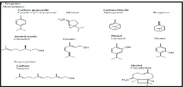 Figure 4b: Structure chimique de quelques composés des huiles essentielles (BAKKALI et  al ;.2008)