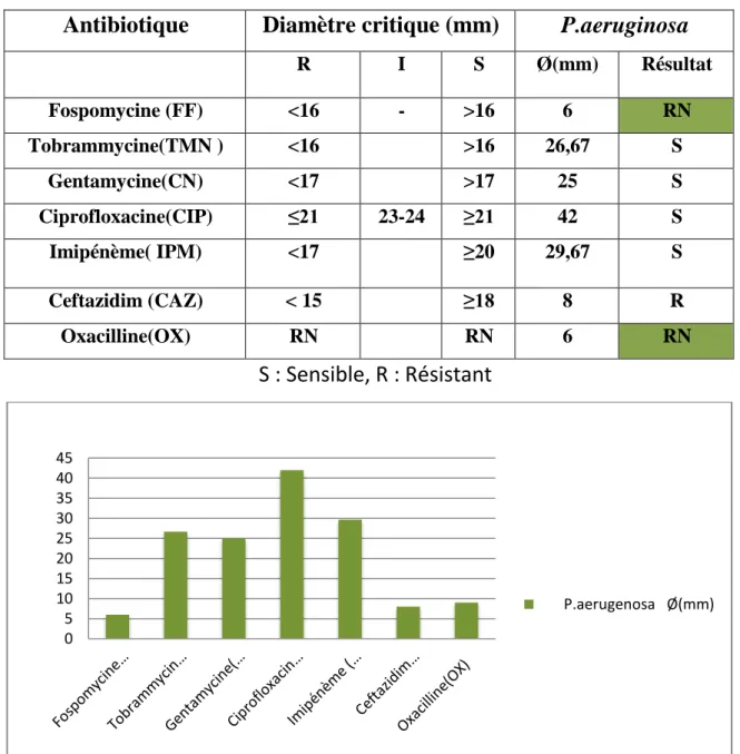 Figure 13 : Représentation graphique des diamètres d’inhibitions  de Pseudomonas aeruginosa  vis -à-vis des différents antibiotiques (Fospomycine (FF), Tobrammycine(TMN),  Gentamycine(CN), Ciprofloxacine(CIP), Imipénème( IPM) Ceftazidime(CAZ) 