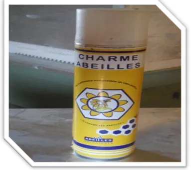 Figure 07 :Charme d’abeilles. 
