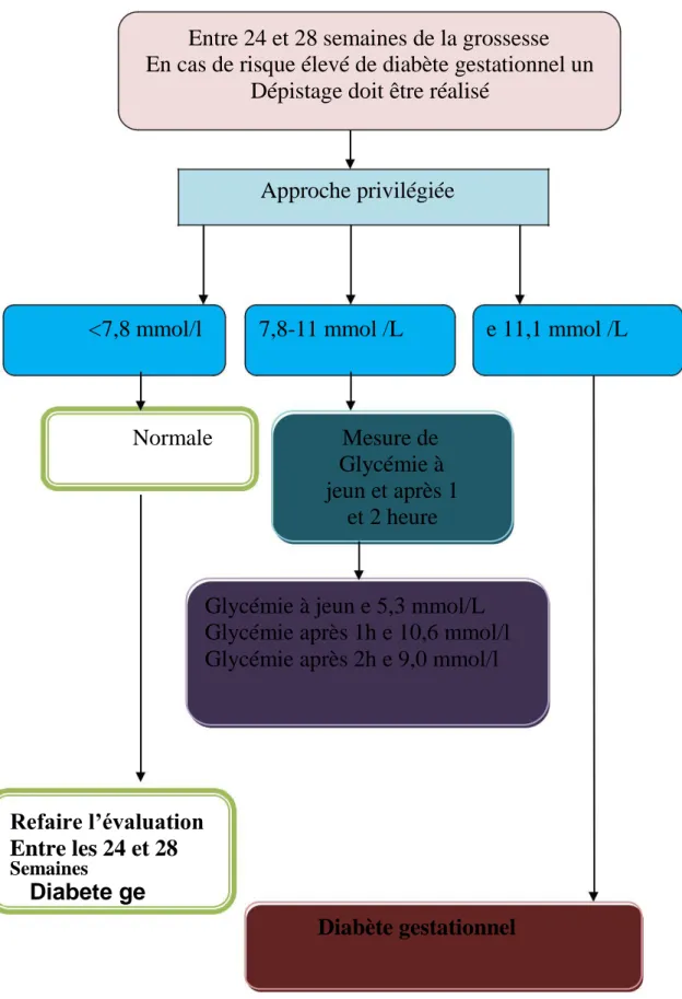 Figure 1 : Dépistage du diabète gestationnel (Vinokuroff, 2013) 