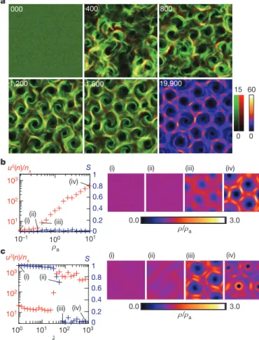 Figure 5 | Collective dynamics of mathematical model of interacting, self- self-propelled particles