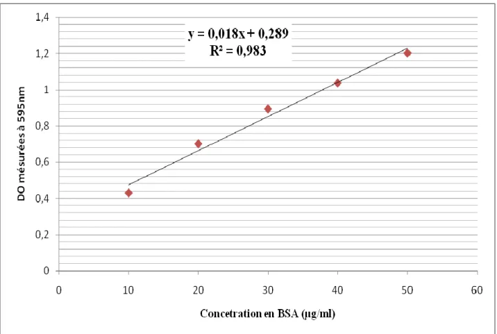 Figure  (09) :  Courbe  étalon  pour  le  dosage  des  protéines  par  méthode  de  Bradford  (1976)  avec  comme protéine étalon la BSA