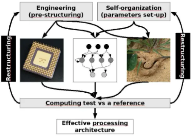 Figure 5: The process of creation of effective processing architectures is always a feedback loop of engineering design or set-up of the parameters implied in self-organization, then structuring of the architecture, and then test of the architecture for a 