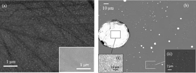 Figure  4.  SEM  images  (backscattered  electrons)  of  S10.Mo50  sample:  (a)  S10.Mo50 q