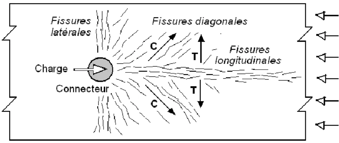 Figure 1.12 : Types de fissures produites par la poussée du connecteur 