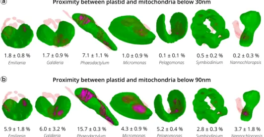 Fig. 4 Proximity between plastids and mitochondria in different phytoplankton members