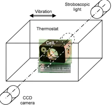 FIG. 3. Experimental arrangement of the CO 2 experiment (schematic). The double arrow indicates the vibration direction