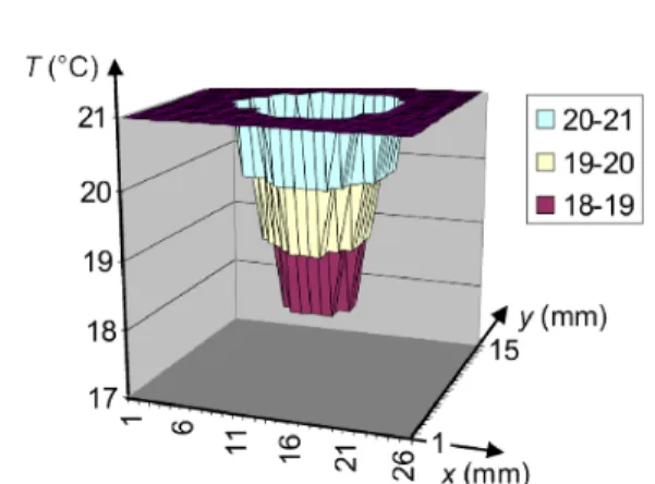 Fig. 4. Scanning pyrometer study on a section of elytra ap- ap-proximately 3 mm × 7 mm attached to aluminium film (see text).